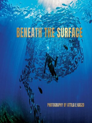 cover image of Beneath the Surface